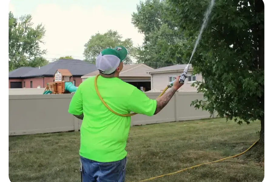 turf doctor tech spraying tree